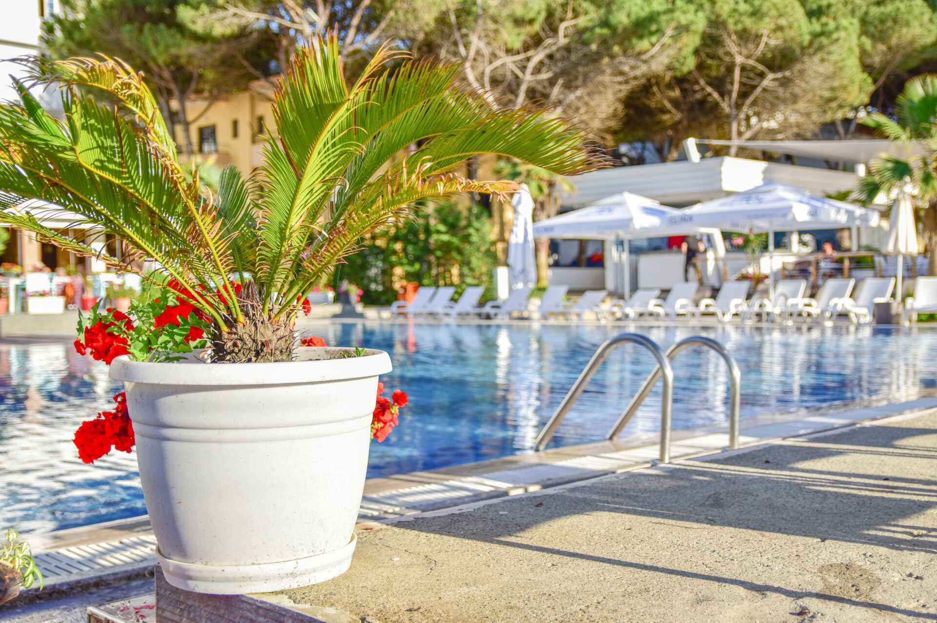 Poolområdet på hotel Fafa Premium på Durres-rivieraen i Albanien.