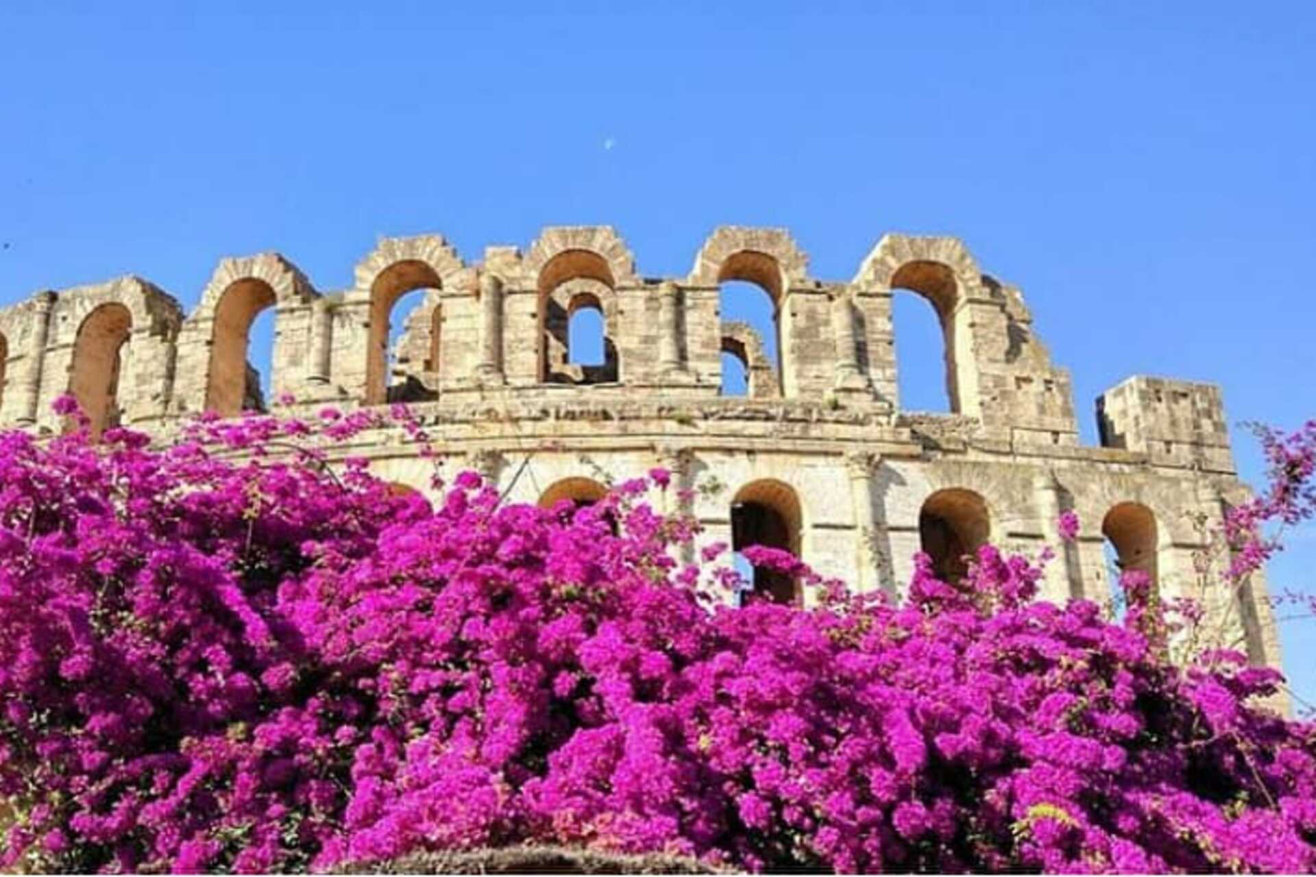 2-dagstur til Sahara