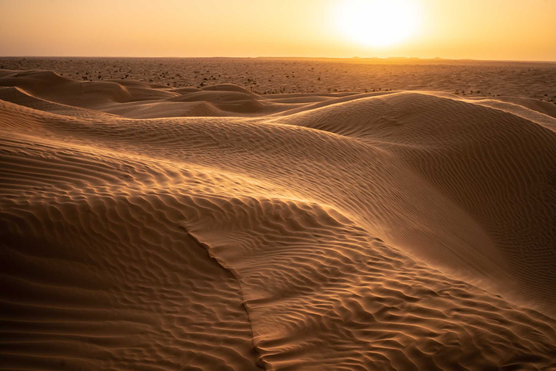 2-dagstur til Sahara