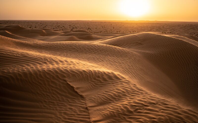 2-dagstur til Sahara