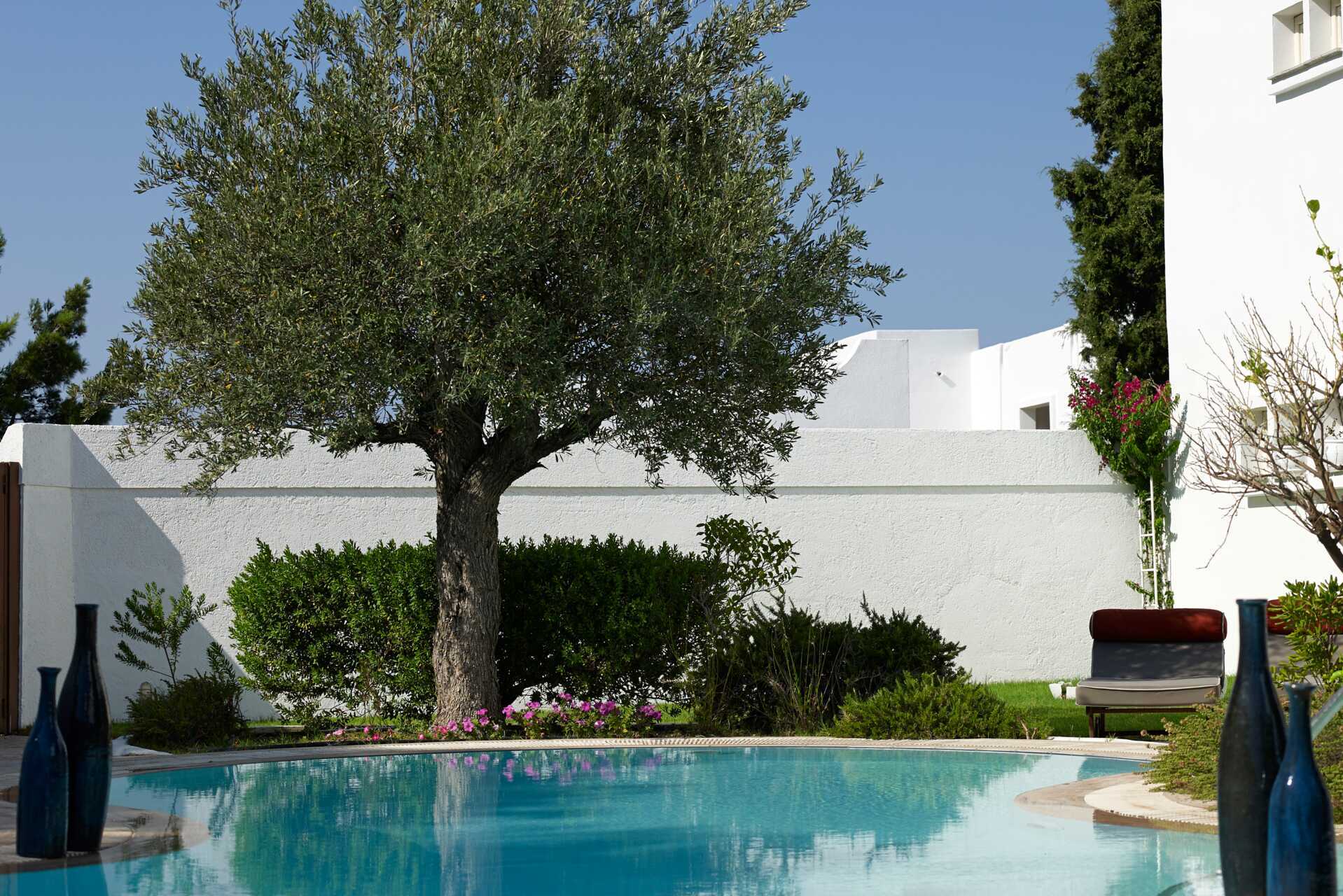 2-værelses suite med delt pool på Hotel Esperos Blue Village and Spa, Rhodos.