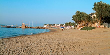 Stranden ved Hotel Santa Marina Beach i Agia Marina på Kreta, Grækenland.