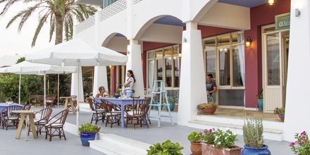 Hotel Alea Mare på Leros, Grækenland.