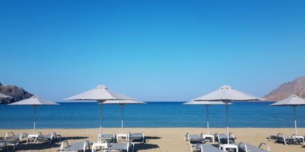 Alegria Beach Resort - sommer 2022