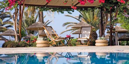 Pool på Hotel Alion Beach i Ayia Napa, Cypern