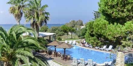 Poolen på hotel Alkyoni Beach i Naxos by, Grækenland.