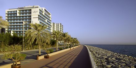 Hotel Aloft Palm Jumeirah, Dubai.