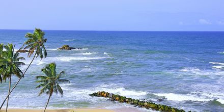 Stranden ved Hotel Amari Galle, Sri Lanka.