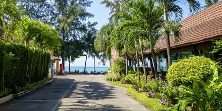 Vejen ned til stranden fra Aonang Princeville Villa Resort & Spa i Krabi, Thailand.