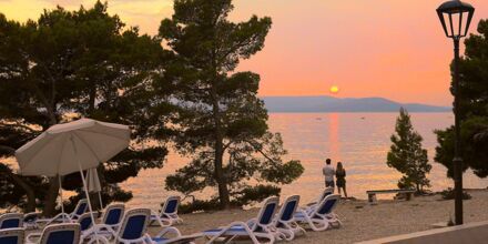 Stranden ved Hotel Apollo Mondo Family Romana i Kroatien.