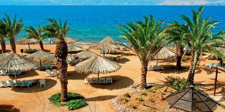 Smukke strande i Aqaba i Jordan.