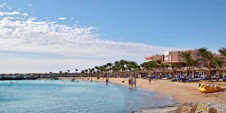 Stranden ved Hotel Beach Albatros Resort i Hurghada, Egypten.
