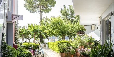 Hotel Armeno Beach på Lefkas, Grækenland.