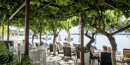 Bar på Hotel Armeno Beach på Lefkas, Grækenland.