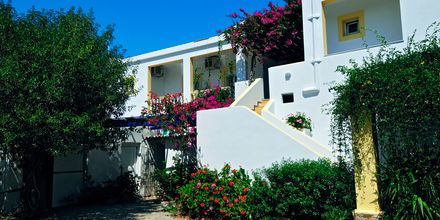 Hotel Artemida på Leros, Grækenland.