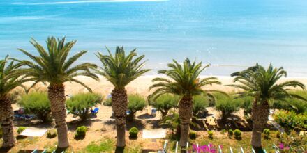 Stranden ved hotel Artemis i Makrigialos på Kreta