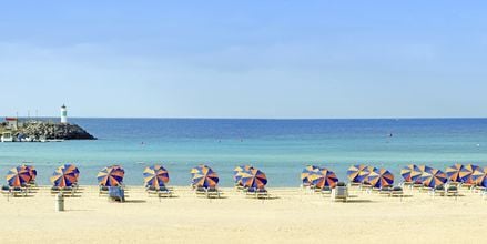 Strand ved Hotel Barcelo Castillo Beach Resort på Fuerteventura, De Kanariske Øer, Spanien.