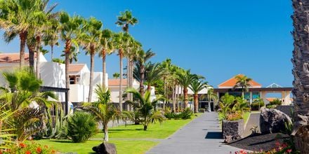 Hotel Barcelo Castillo Beach Resort på Fuerteventura, De Kanariske Øer, Spanien.