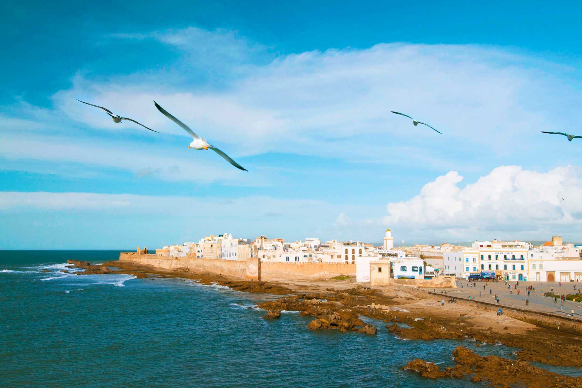 Besøg Essaouira