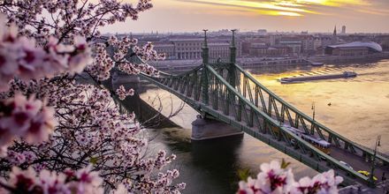 Broen der dele Budapest op i to - Buda og Pest, hedder Kædebroen.