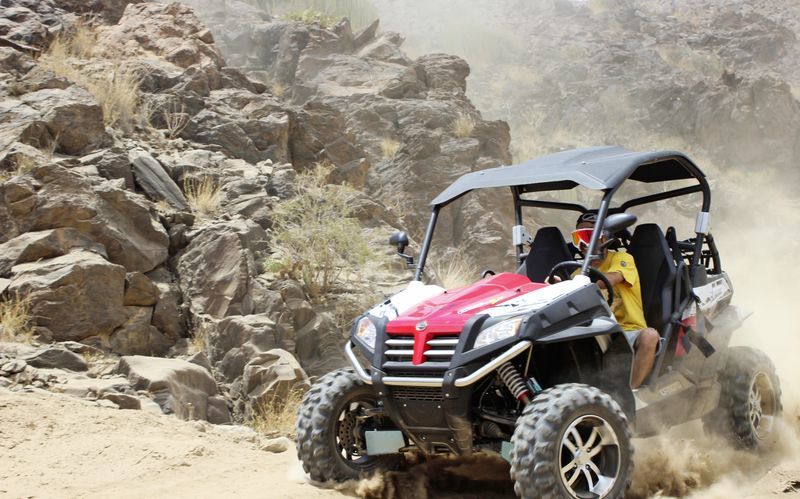 Buggy-safari i De Tusind Palmers Dal