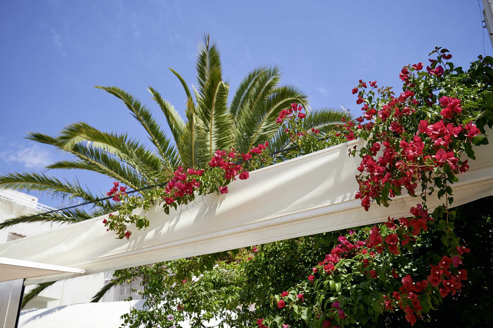 Cala d'Or på Mallorca, Spanien.