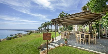 Kafenion på hotel Cavo Maris Beach i Fig Tree Bay, Cypern.
