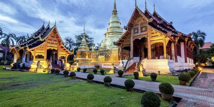 Tempel i Chiang Mai, Thailand.
