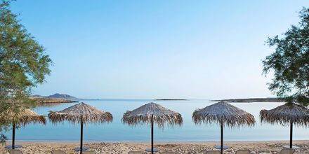 Stranden ved Hotel Contaratos Beach på Paros i Grækenland.