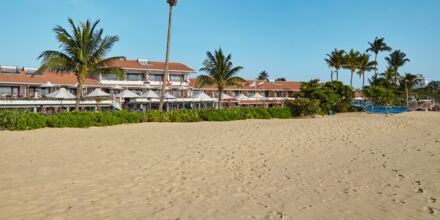 Stranden ved Hotel Coral Sands i Hikkaduwa, Sri Lanka.