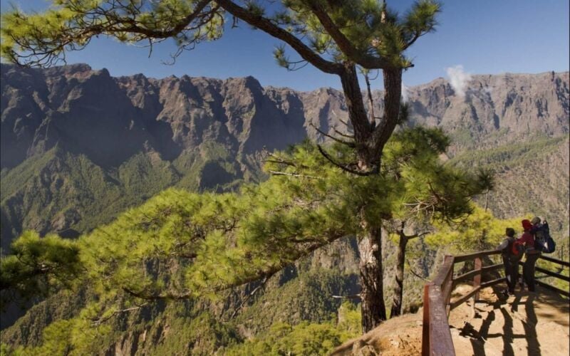 De Kanariske Øers skjulte perle - La Palma