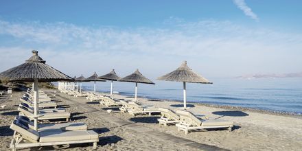 Stranden ved Hotel Diamond Deluxe Hotel & Spa i Lambi på Kos, Grækenland.