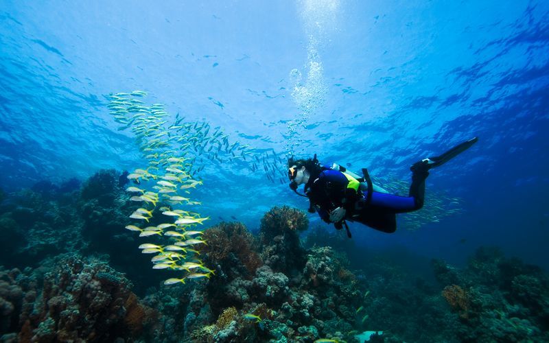 Dykkerkursus – Advanced Open Water Diver