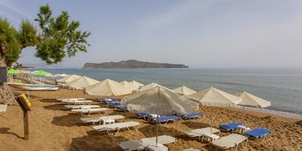 Stranden på hotel Faros i Kato Stalos, Kreta
