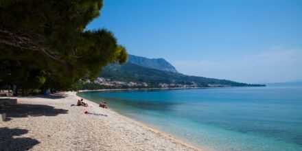 Stranden nedenfor Hotel Flora i Tucepi, Kroatien