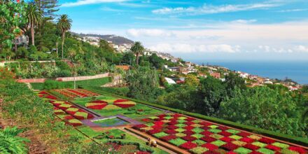Botanisk have i Funchal, Madeira, Portugal.