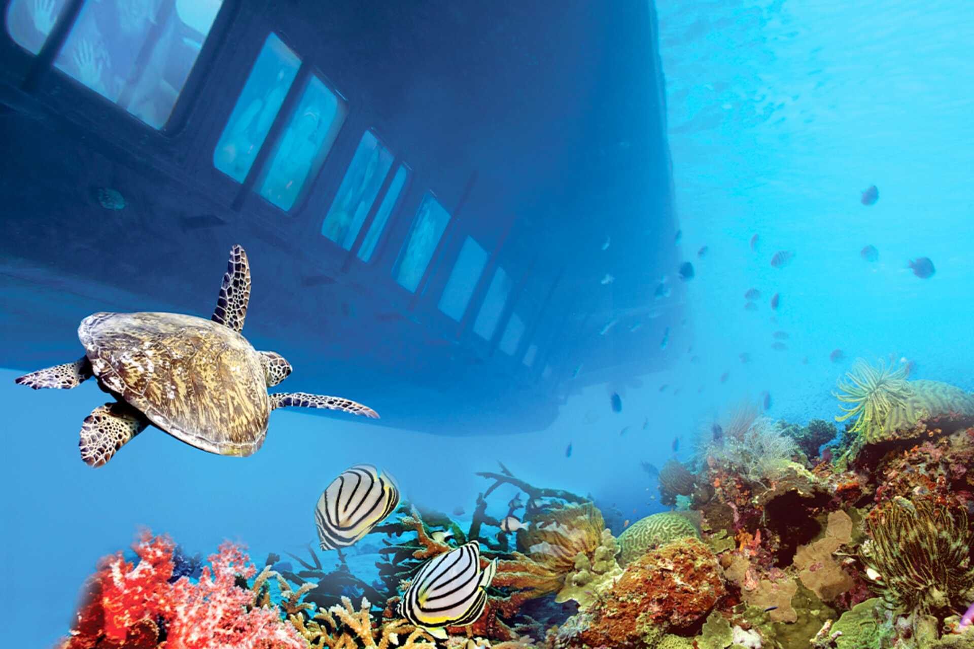 Glasbundsbåd - oplev Det Røde Hav under overfladen