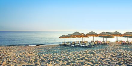 Hotelstrand ved Hotel Golden Beach i Hersonissos på Kreta, Grækenland.