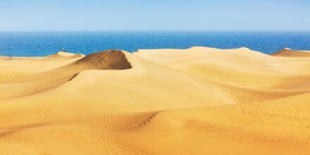 Sanddynerne i Maspalomas