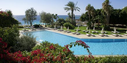Poolområde på Hotel Grecian Sands, Cypern.
