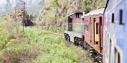 Tog kører gennem Hikkaduwa og det fantastiske landskab