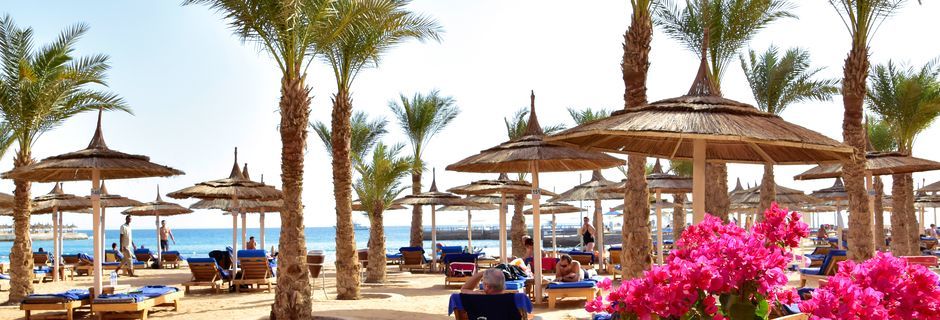 Stranden ved Hotel Beach Albatros Resort i Hurghada, Egypten.