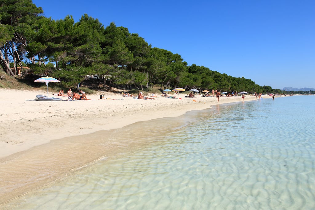Strand
