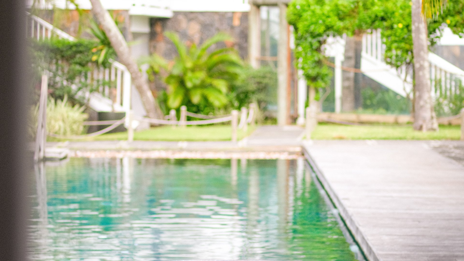 Svømmepøl
