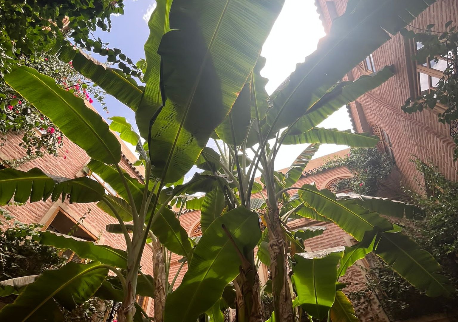 Oversigtsbillede