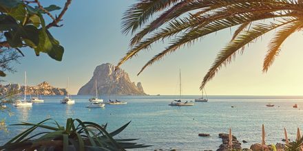 Ibiza, sydvest for Mallorca, er en frodig ø med meget at tilbyde.