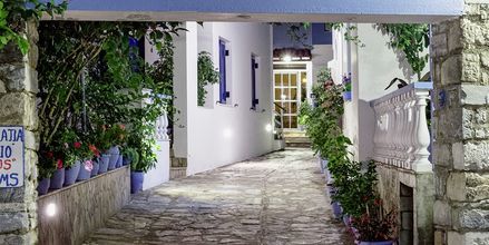 Hotel Ilias på Alonissos