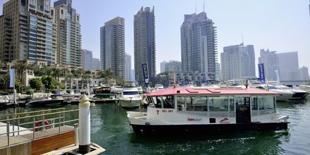 Dubai Marina i Jumeirah Beach, De Forenede Arabiske Emirater.