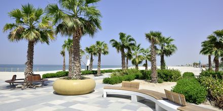 Strand i Dubai Jumeirah Beach, De Forenede Arabiske Emirater.