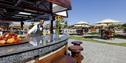 Bar på Hotel Jungle Aqua Park i Hurghada, Egypten.